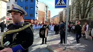 Domingo de Ramos. Procesión en 4K