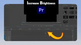 How to Increase Brightness on Premiere Pro [NEW]