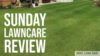 Обзор Sunday Lawncare // Работает ли эта услуга по уходу за газоном? Посмотрите, прежде чем купить