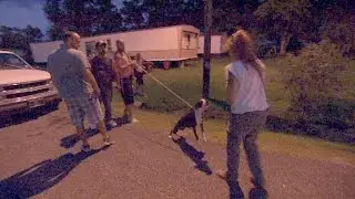 Neighborhood Riled Up Over Scared, Aggressive Dog