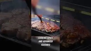 Traeger Pro575 Review  Best Grill for All Levels