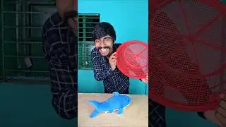When Baby Chicks Suddenly Transform Into GIANT Whales! 🐣✨🐳