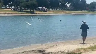 Dragon Flight 95 Team Race 8