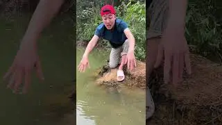 Навыки выживания: полезные и умные #наприроде #выживание #костер #бушкрафт