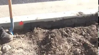 Century Root Barrier Breakthrough: Solving the &ldquo;HUGE Root Barrier Issue&rdquo;