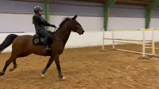 My Cooper&rsquo;s Treasure - Hopptr&auml;ning 28/1
