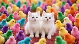 Catch Color Chicken, Cute Chicken, Duck, Rainbow Chicken, Rabbit, Cute Animals