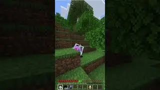 Pov you find an end crystal #pov #endcrystal #minecraft #shorts