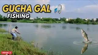 Gucha Gal Fishing 🎯 |Epic Catch From the Lake |KingsFishingZone 🎣