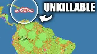 A day in the life of a battered ISLAND ROACHMAXXER