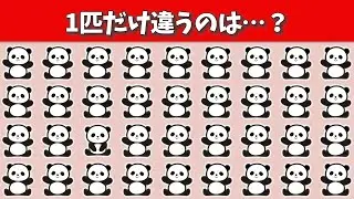 ぐぐんと難しくなる！脳トレ間違い探し【パンダ編】1つだけ違うのは？【認知症予防/脳活】第505回