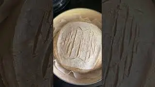 Reveal for my Proof bread! #letsgetthisbread #sourdoughforbts