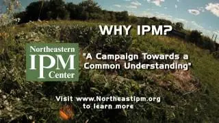 Why IPM?