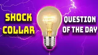 SHOCK COLLAR QUESTION OF THE DAY Kevin Morales Brooke and Jeffery MOVIN 92.5 hejeh