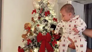 VLOGNOËL 1 | ПЕРВОЕ РОЖДЕСТВО ОНОРЕ | УСТАНОВКА ИДЕАЛЬНОЙ РОЖДЕСТВЕНСКОЙ ЁЛКИ ДЛЯ МАЛЬЧИКОВ | РОС...