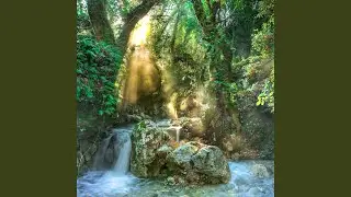 Wild Heartbeat