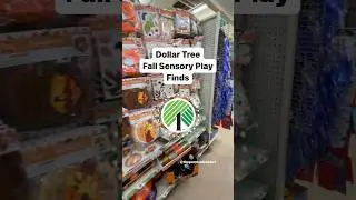 Favorite Dollar Tree Fall Finds for Sensory Bins #dollartreefinds #sensoryplay #handsonlearning