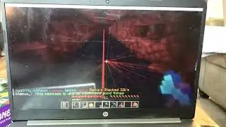 Compleatley autonomous bot walks 2b2t highway