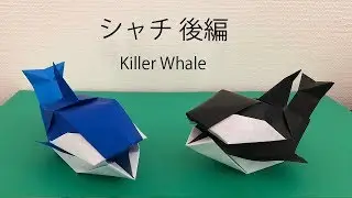 折り紙 シャチの立体的な作り方 後編｜中にお菓子や小物も入るよ Origami Killer Whale