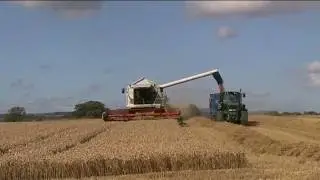 Laganview Farm Wheat Harvest 2010
