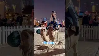 It&rsquo;s camel time #camel #guitar #waterpark #funny #foryou #explore #explorepage ￼￼