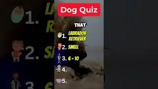 Do you know the answer to these dog questions?