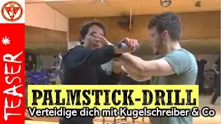 PALMSTICK: Drill f&uuml;r Power & Speed mit Sifu Gregor