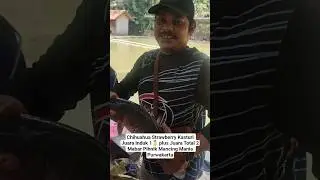 Alagenah, Kolam Pemancingan Ayoy Cimaung - Purwakarta #essenikanmas #purwakarta #essennila #fyp