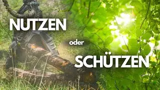 Waldbrand 🔥 Kahlschlag 🪓 Neuanfang 🌱 – Was im Stadtwald Arnsberg wirklich passiert