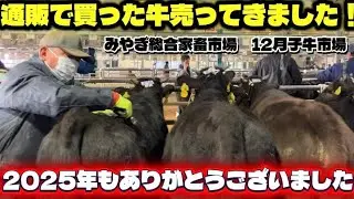 みやぎ総合家畜市場.R7年12月子牛市場に去勢2頭売りに行きました！