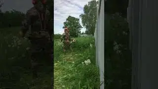 Работа триммера STIHL FS 450 | How Stihl FS 450 trimmer works
