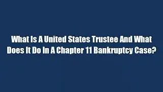 What Is A United States Trustee And What Does It Do In A Chapter 11 Bankruptcy Case?