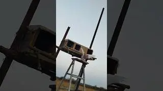 🚀Kabootar Udaan |Unbelievable PigeonFlight Caught on Camera🕊️#shorts #kabootar #viralshort #pigeon