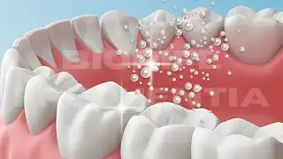 Support Teeth Gum and Dental Wellness I RIFE-Inspired Sound Therapy for Oral Vitality