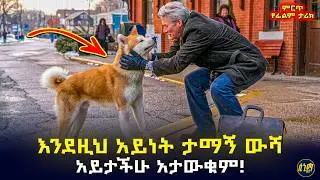 ባለቤቱ ከሄደበት እስኪመለስ ሲጠብቀው የኖረው ታማኝ ውሻ ታሪክ 🤯 | የፊልም ታሪክ ባጭሩ