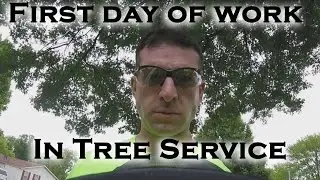 First day of work at the new job in tree service