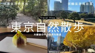 【目黒自然教育園】大都会の中の自然を散歩しよう【浜離宮恩賜庭園】