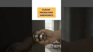 Elbow Pronator Mnemonics🔎#trendingshorts #physiotherapist