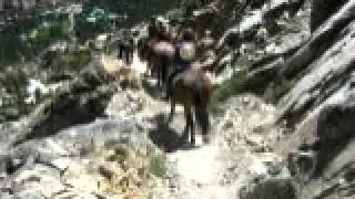 Pack Trip 2011