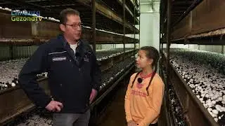 Limburg Gezond TV - Aflevering 6: Jacobs Champignons