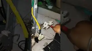 rat on washing machine