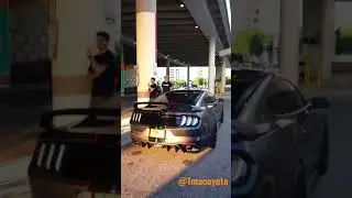 2020 MUSTANG GT (10 speed coyote) #Shorts #Mustangs #coyote #cars