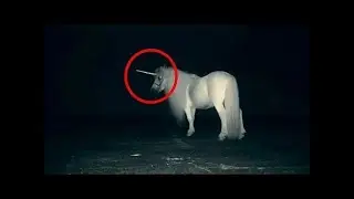 Scientists Have Found Fossils That Prove Unicorns Existed &ndash; But They Were Actually Pretty Terrifying