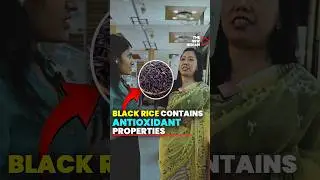 Exported Around 6,000 Metric Tonnes In 2023-24 | Manipuri Black Rice Serving Internatial Consumers