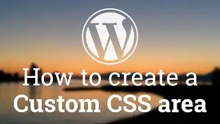Part 13 - WordPress Theme Development - How to Create a Custom CSS area