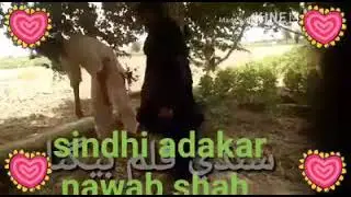 New Sindhi film movie Hindi teli film new 2021