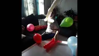 Titan's 10 th Birthday Balloon Drop! 2023