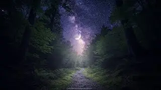 Calm Vacation Moments | Soothing Music for Deep Relaxation, Inner Peace & Sleep