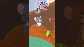 Quand Tom prouve enfin son efficacit&eacute; #TometJerry #garderoyal 😂 #comedie