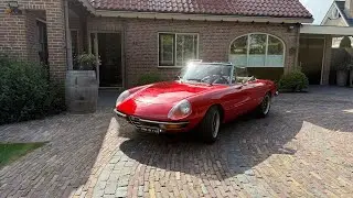 Alfa Romeo Spider Coda Tronca